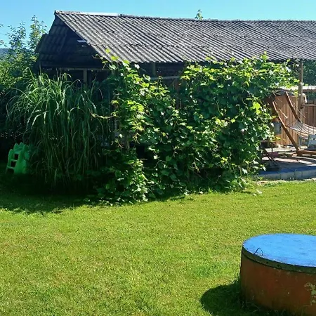 Krolowka ماكوف بودهالانسكي